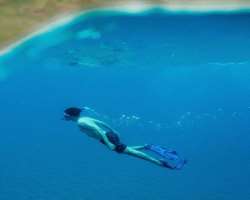 Foster enjoyed scuba diving in Hawaii in October of 2019.